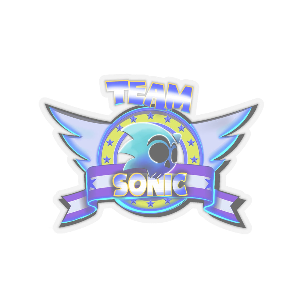 Team Sonic Sticker